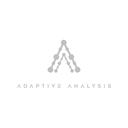 Adaptive Analysis