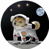 DOGZ,太空狗,Dogzcoin