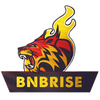 BNBRise